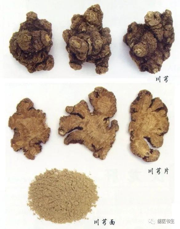 川芎最新药典研究与应用概览