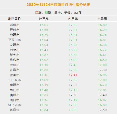 襄阳最新猪价动态报告及深度分析