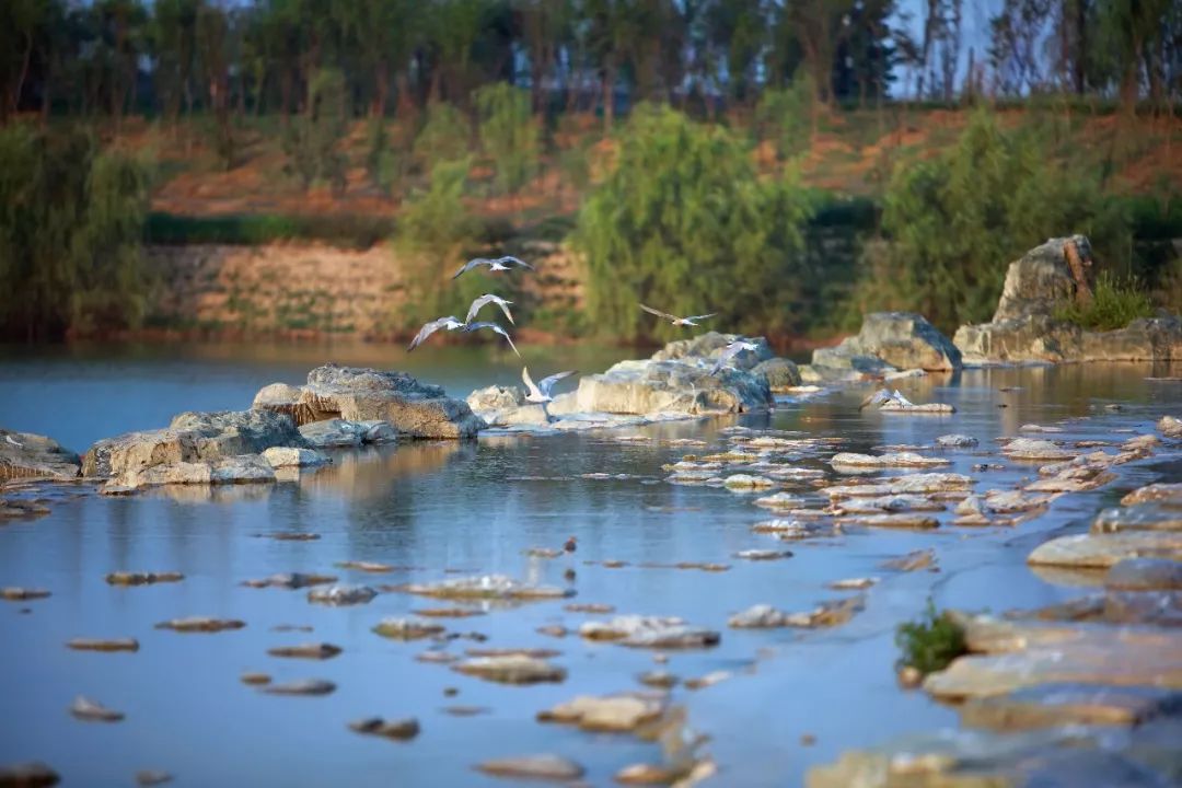 西安最新湿地公园，自然与文化融合之美