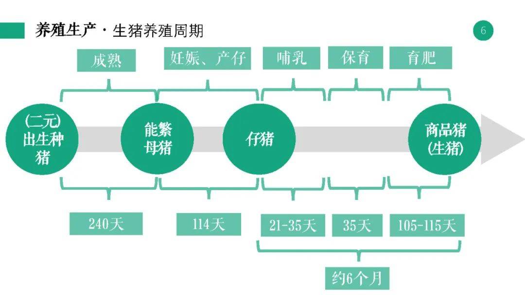 实地分析解析说明：2024新奥资料免费精准109_9DM25.36.54