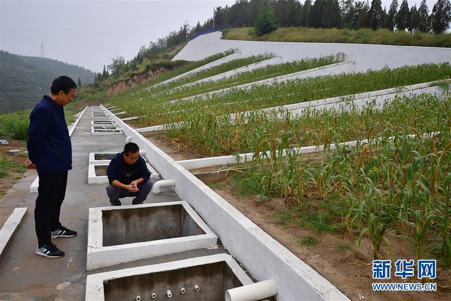 绥德洪水最新消息，灾害应对与重建工作的最新进展报告