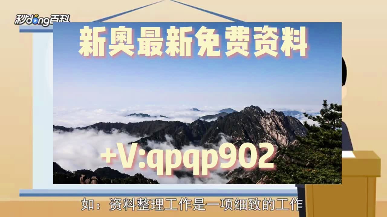 澳门一肖中100%期期准，效率资料解释落实_WP66.93.55