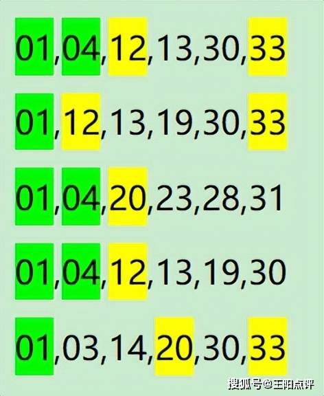 刘伯温一肖一码6374，数据资料解释落实_V版92.69.93