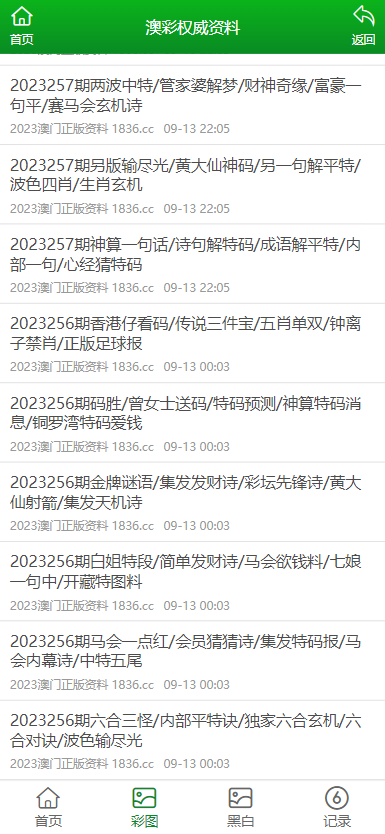 2024澳门六今晚开奖记录，准确资料解释落实_战略版19.94.95