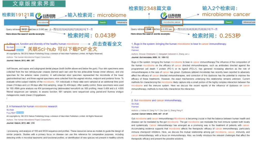 新澳精准资料免费提供，效率资料解释落实_网页版15.69.56