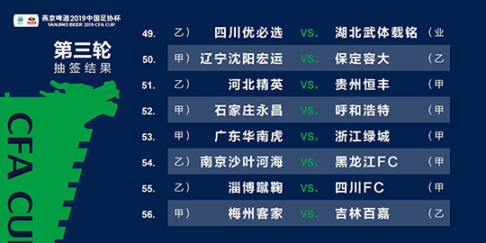 2024新澳门全年九肖资料，时代资料解释落实_V4.61.28