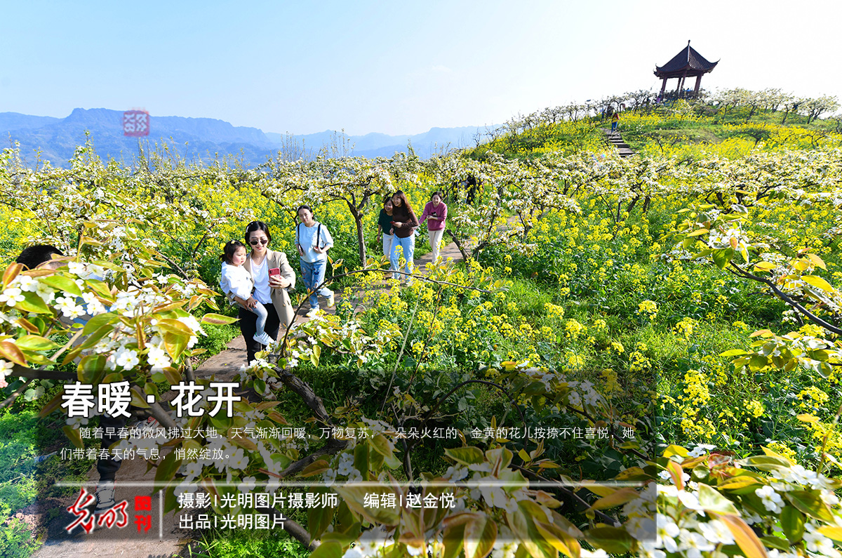 暖春花开地最新地址,🌸暖春花开地最新地址🌸