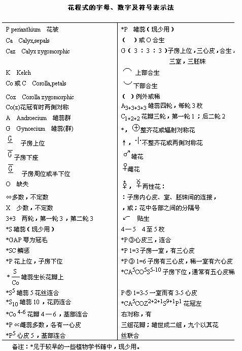 4949澳门免费资料大全特色，科学依据解释定义_复古款84.41.29