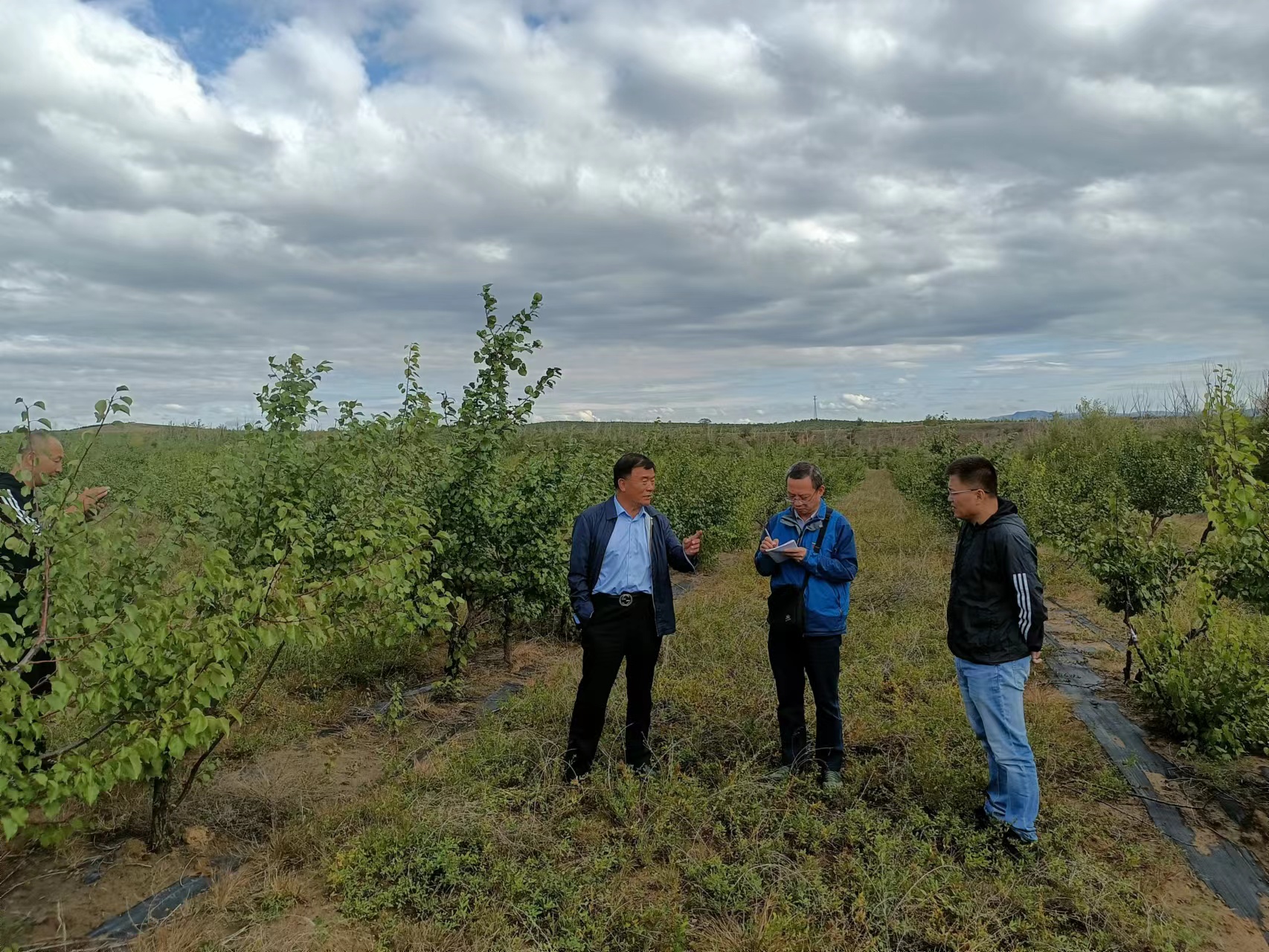 赤峰林场改革最新消息,赤峰林场改革最新消息与一段温馨的林场日常故事