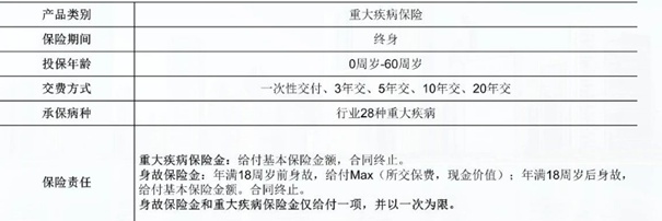 中国人寿最新险种介绍,中国人寿最新险种介绍，科技重塑保障，为您的生活保驾护航