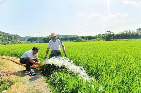 2024新澳免费资料三头67期_孝昌二手房最新信息网,安全设计解析说明法_瞬间版8.15.587