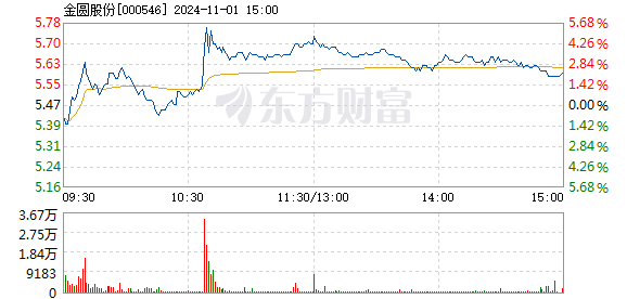 金圆股份股票最新消息,详情执行数据安援_动感版6.72.614