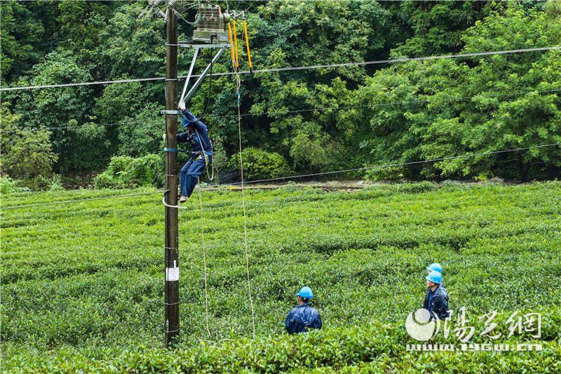 隧道施工塌方的最新情况，原因、预防与应对措施揭秘