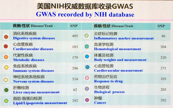 494949澳门今晚开什么,全面研究解答解释现象_手机集23.914