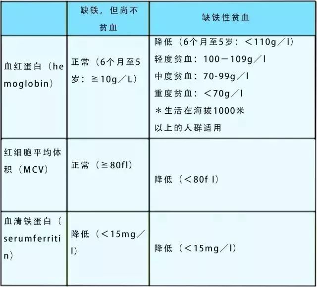 贫血分级标准最新解读与小巷秘密特色小店的发现