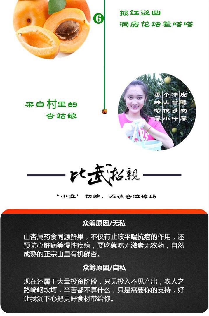 杏吧最新地址获取指南，初学者与进阶用户适用