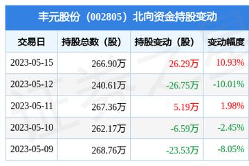 丰元股份最新动态揭秘，小巷深处的独特风味探秘