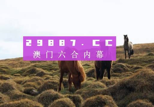 2024澳门正版开奖结果209,迅速实施方案_探索版45.854