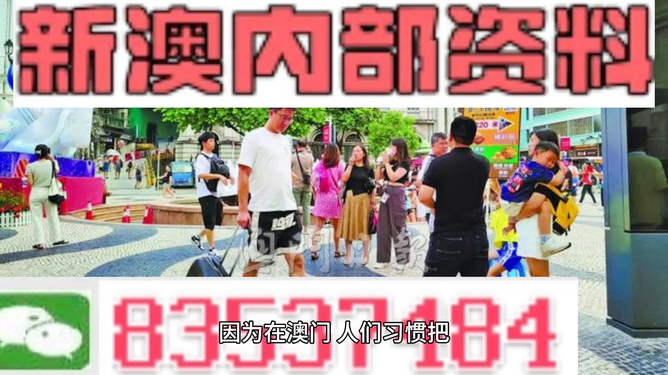 2024澳门精准正版资料大全,系统化解答解释现象_科技版63.105