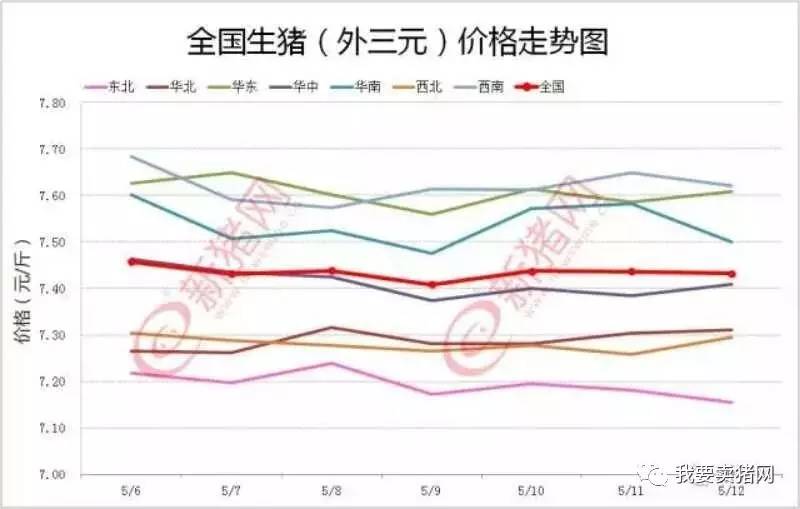 今日猪肉价格探讨，最新行情分析