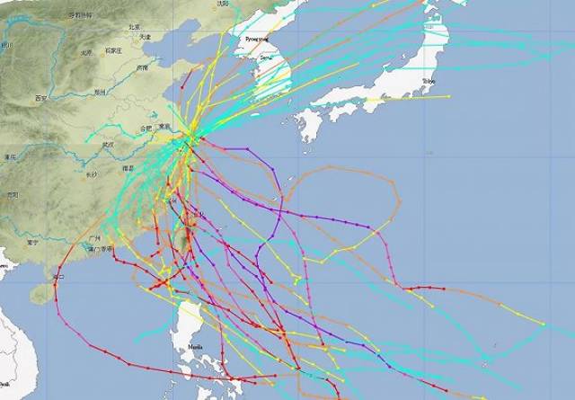 上海台风最新动态，逆风中的学习与成长之旅