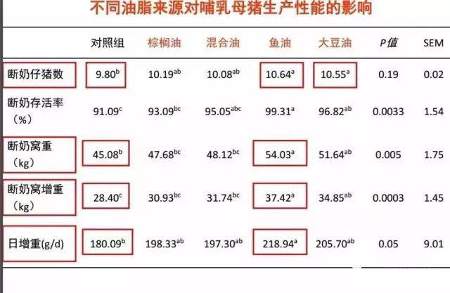 2024香港资料大全正版资料图片,战略框架解答落实_用户品41.994