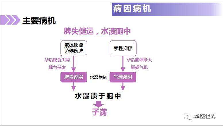 四不像今晚必中一肖,战略研究解答解释方法_三维款70.204