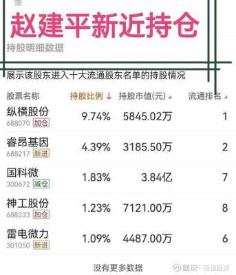 赵建平最新持股动态，变化中的力量开启梦想之旅