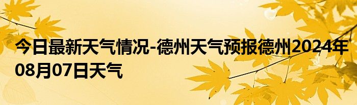 德州最新天气预报更新通知