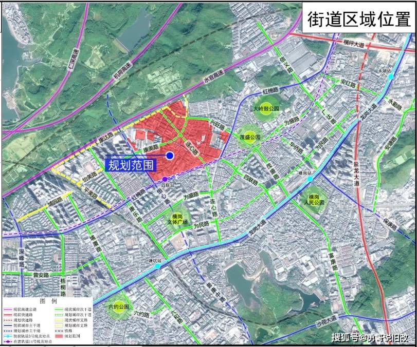 最新任免详细步骤指南及任免最新动态