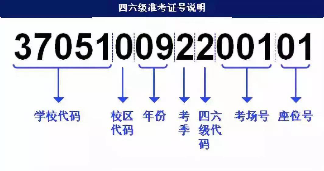 最准一码一肖100%精准,管家婆,权威分析措施解答解释_同步版86.307