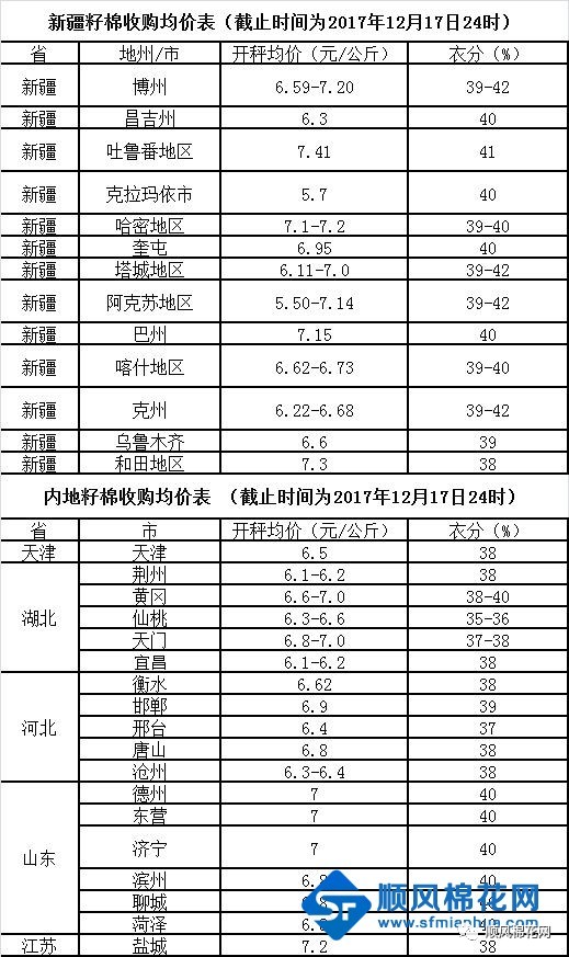 棉籽价格最新动态，揭示背后的温情故事