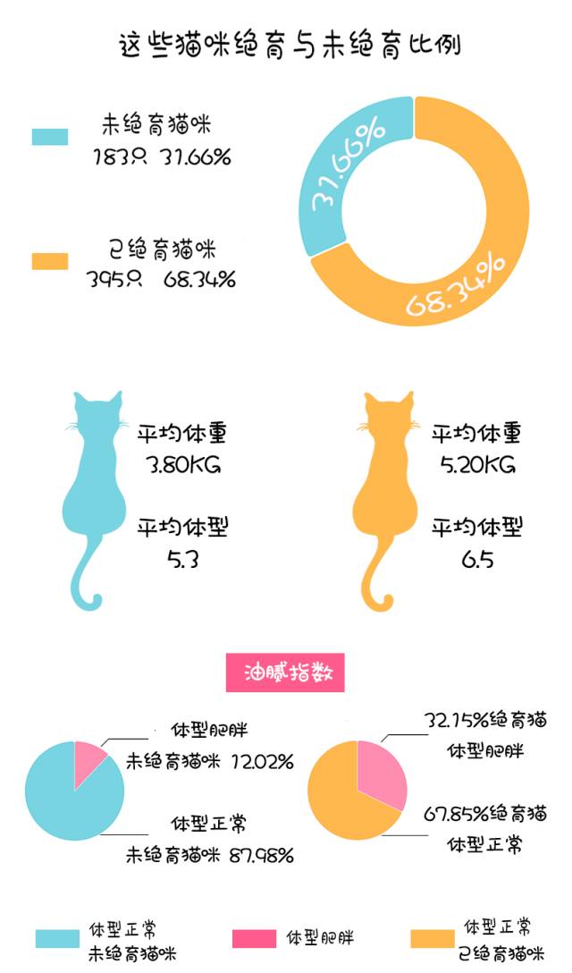 猫咪社区最新版，科技与猫咪融合，重塑养猫新体验