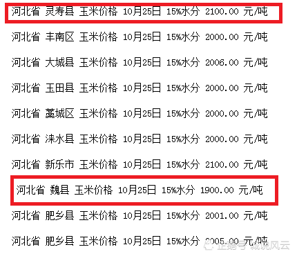 河北玉米价格最新行情揭秘，巷弄深处的风情小店玉米故事