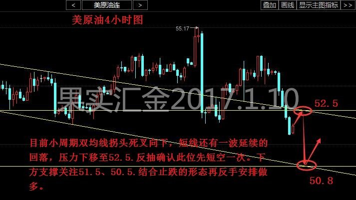 BLJ218.24珍藏版精准跑狗图，独家方案深度解析