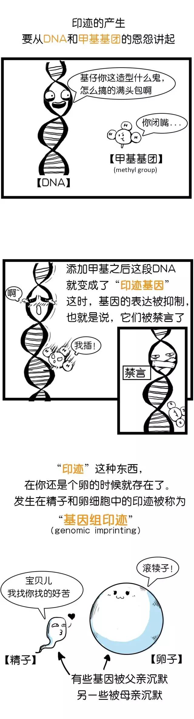 “49图库资料库：EMV147.6精简版研究阐释”