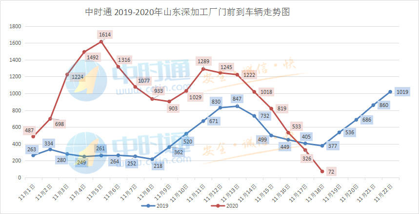 滕州玉米价格最新行情及分析