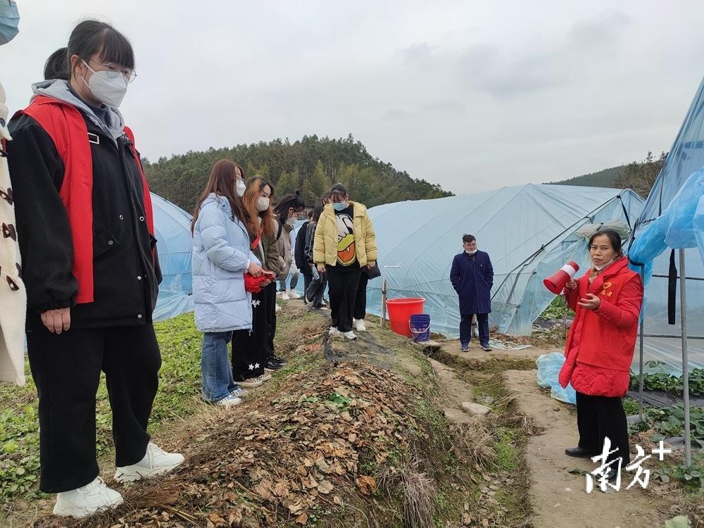 连州市最新规划图，塑造未来城市蓝图