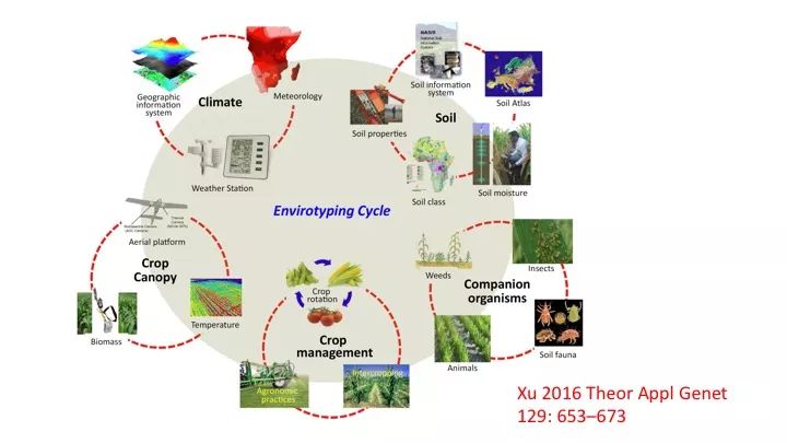 澳门最准资料免费网站2,农业机械化与电气化_空灵境XPD105.63