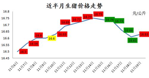 生猪今日价格最新动态及市场走势分析与预测