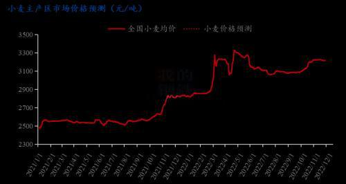 小麦价格最新行情预测，变化中的机遇与挑战，自信成就未来