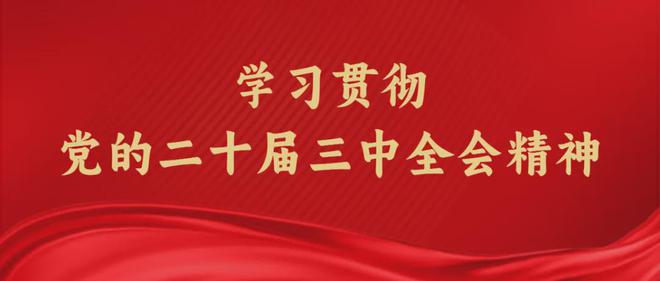 2024新澳门正版资料免费大全,福彩公益网,凹凸词语解析_格美GUK26.57.81