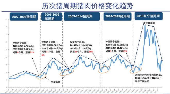 时代背景下的国内煤炭价格波澜起伏，最新消息与趋势分析