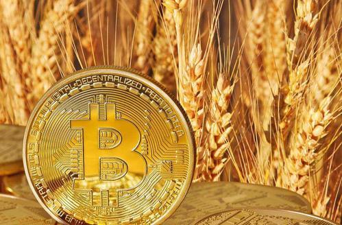 和币最新价格，开启高科技产品新纪元，体验前所未有的未来生活