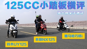 骑士网呆子最新测评,小巷独特风味揭秘