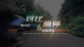 骑士网呆子最新测评,小巷独特风味揭秘