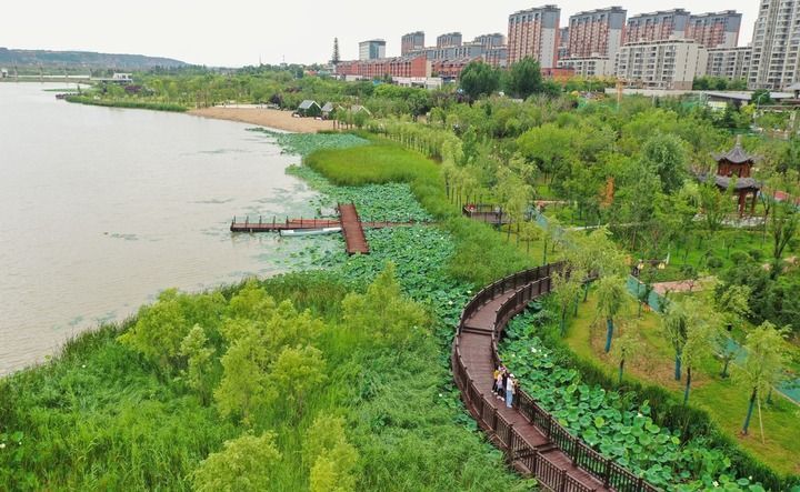 陕西富平最新新闻,小巷深处的独特风味——探寻隐藏的美食宝藏