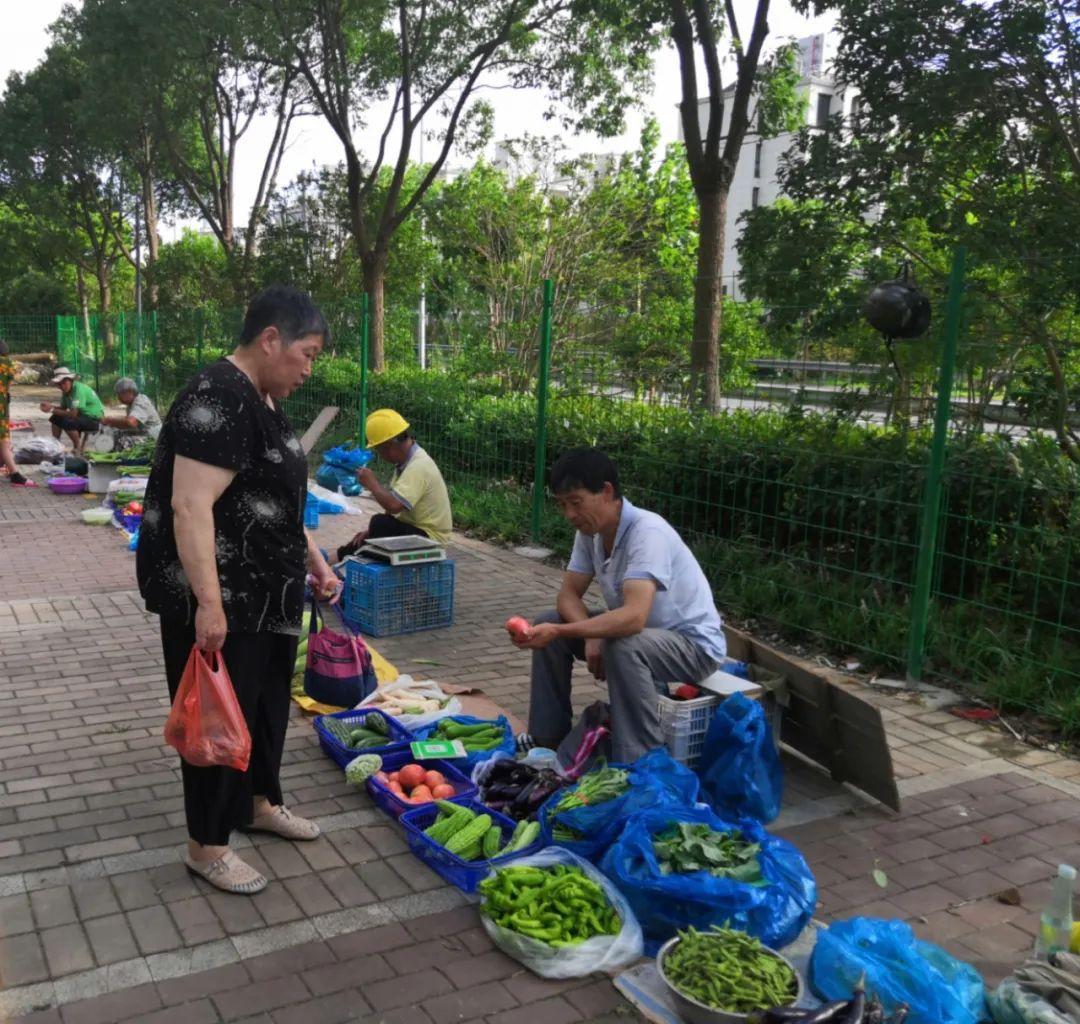 奉城小米公社最新房价动态，变化中的自信与学习力量驱动购房决策
