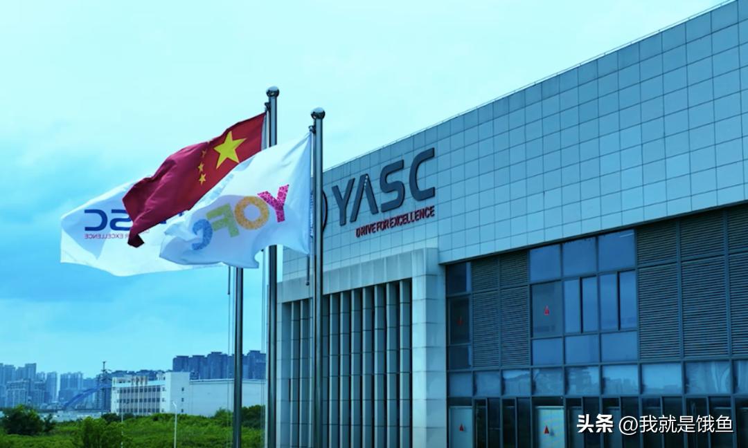 鲁信创投最新传闻揭秘,如何获取并解读创投信息以指导投资决策?