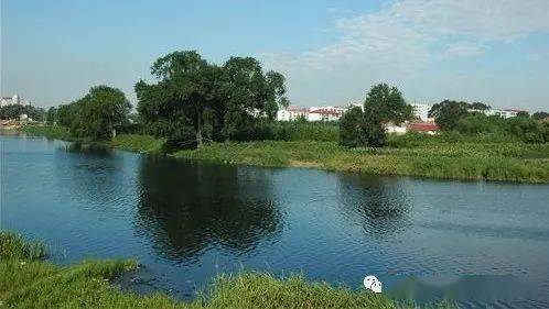 阿什河最新动态，夏日涟漪涌动